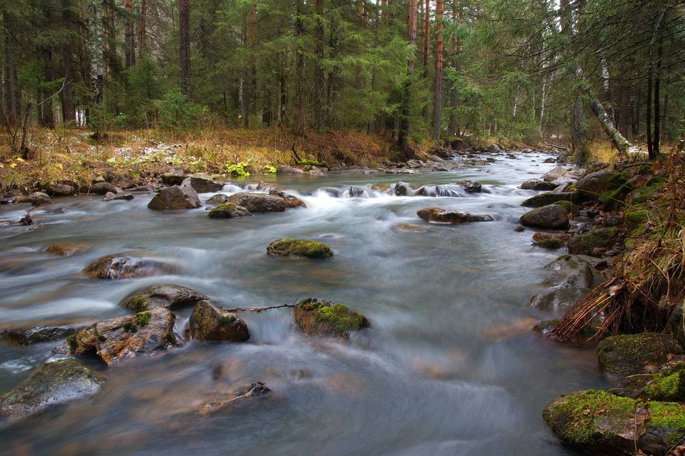 Photograph by Владимир Акиньшин
