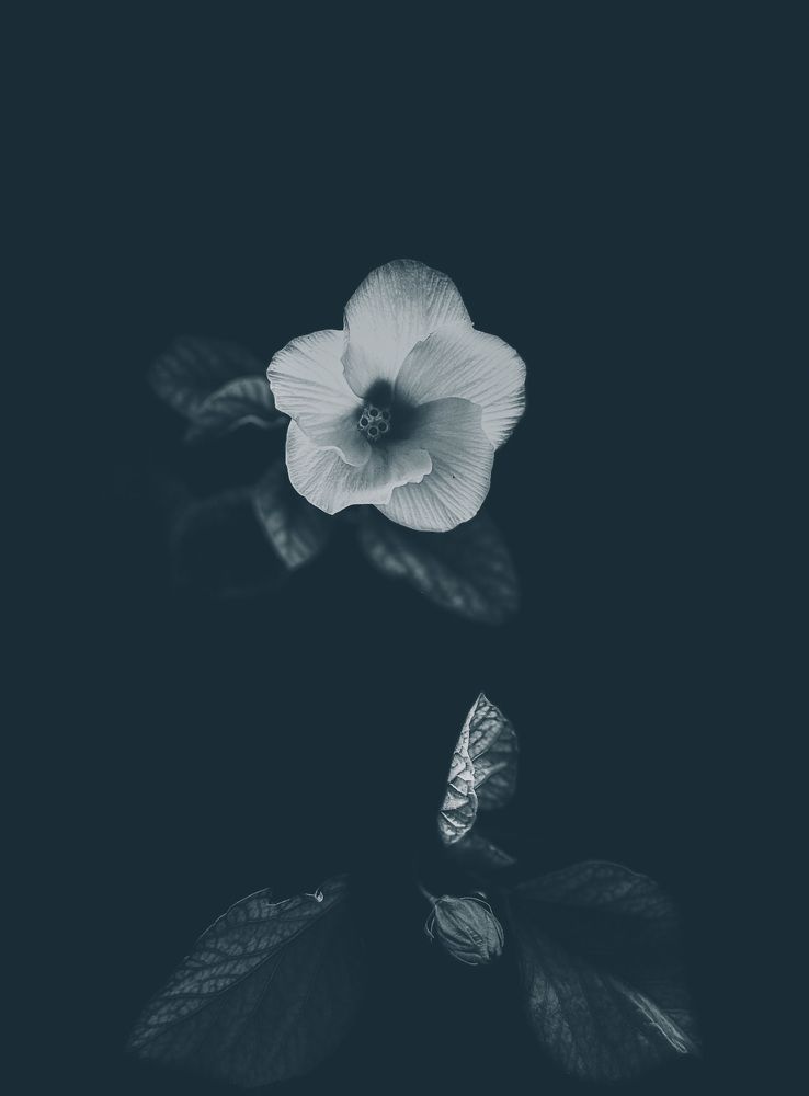 From Darkness to Light