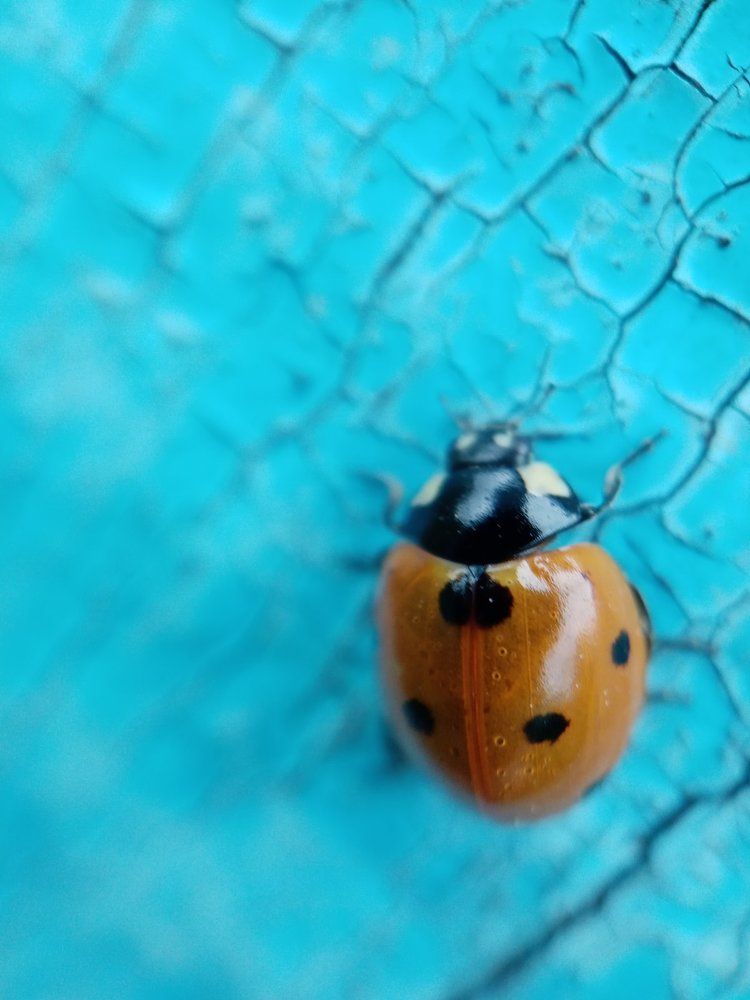 Photograph by Хамитова Светлана