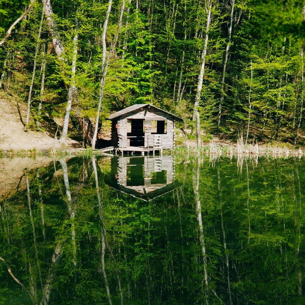 Photograph by Николай Ковальчук