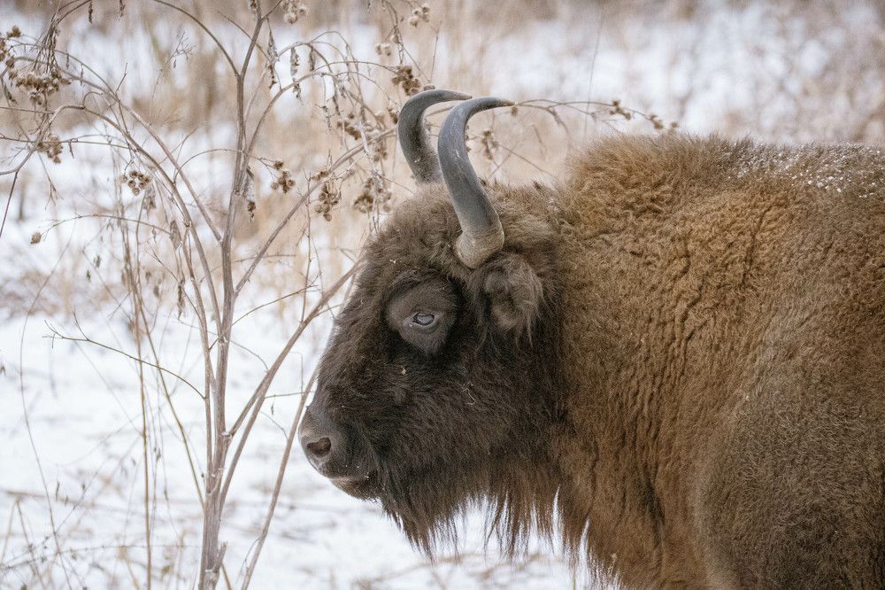 Photograph by Юлия Тельпова