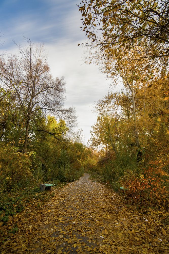 Photograph by Abdulrahman Sawalha