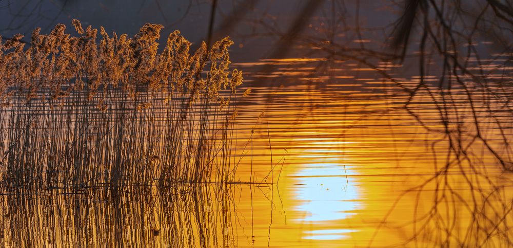 Photograph by Сергей Басов