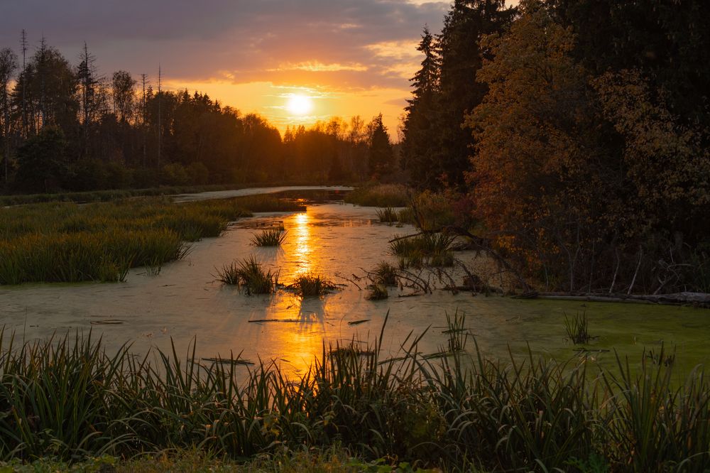 Photograph by Gorodetskiy Konstantin