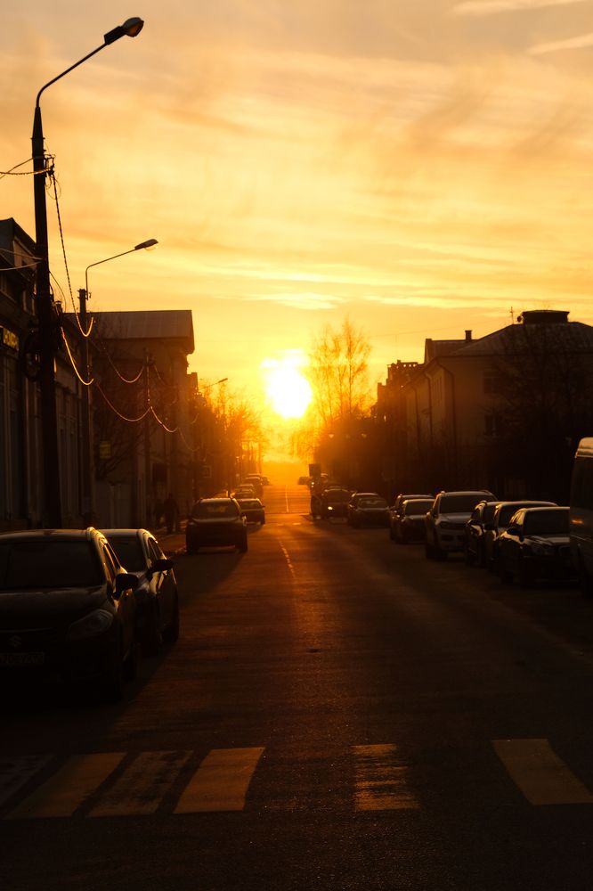Фотография автора Александр Высоцкий