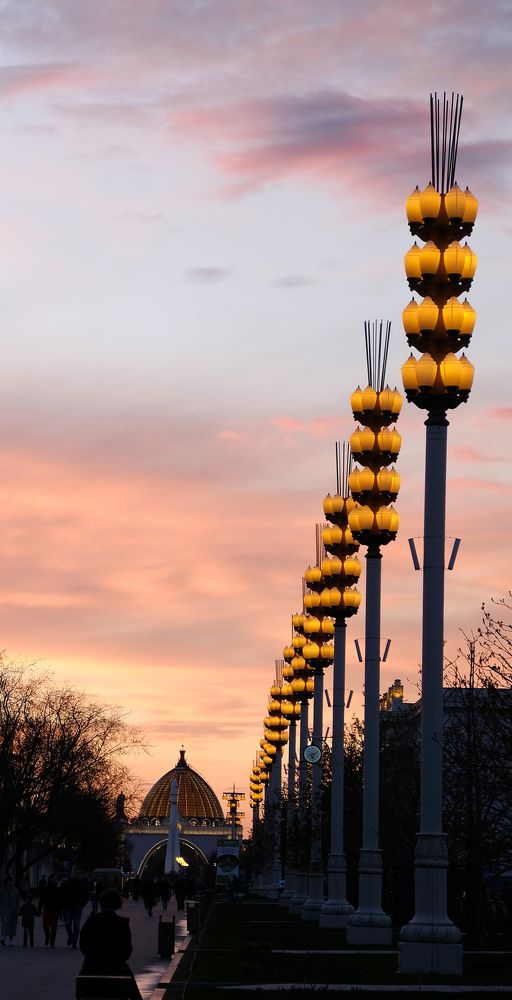 Фотография автора Александр Высоцкий