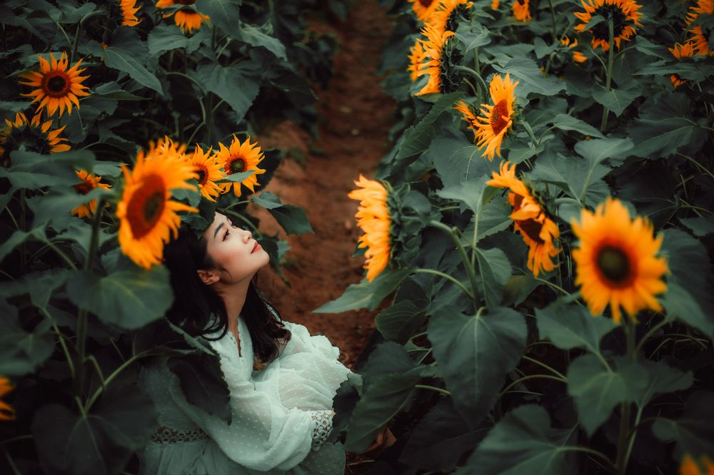 Photograph by Khổng Kiều Minh