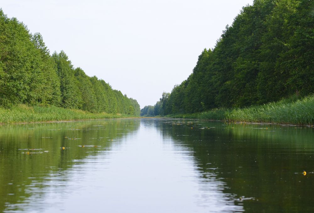 Photograph by Виктория Потапова