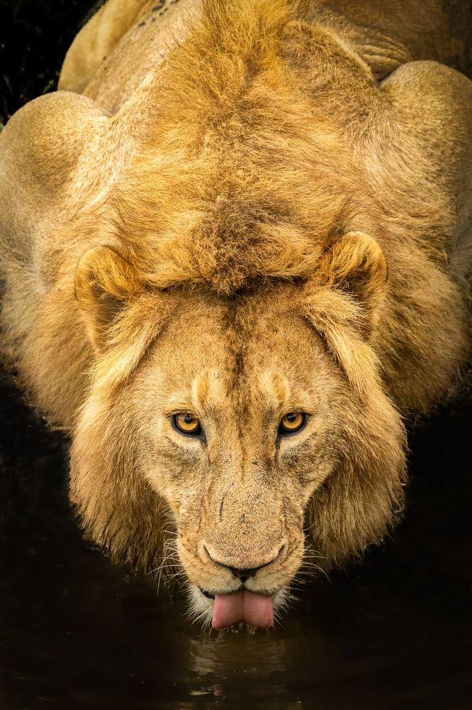 Photograph by Adrian Grigore