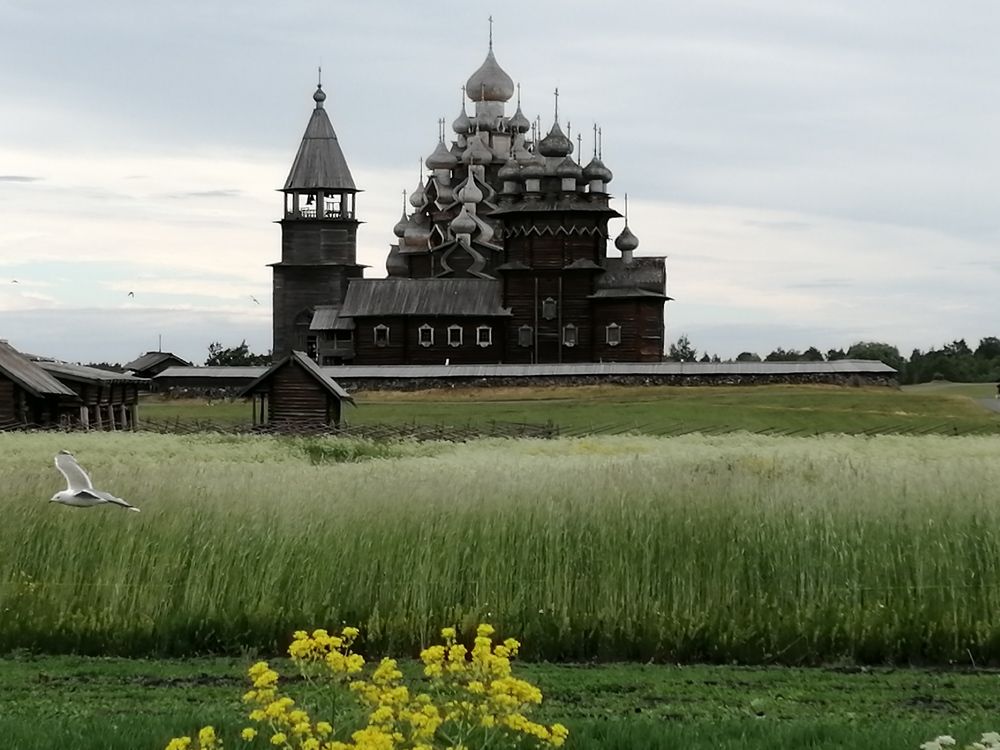 Пасмурный день