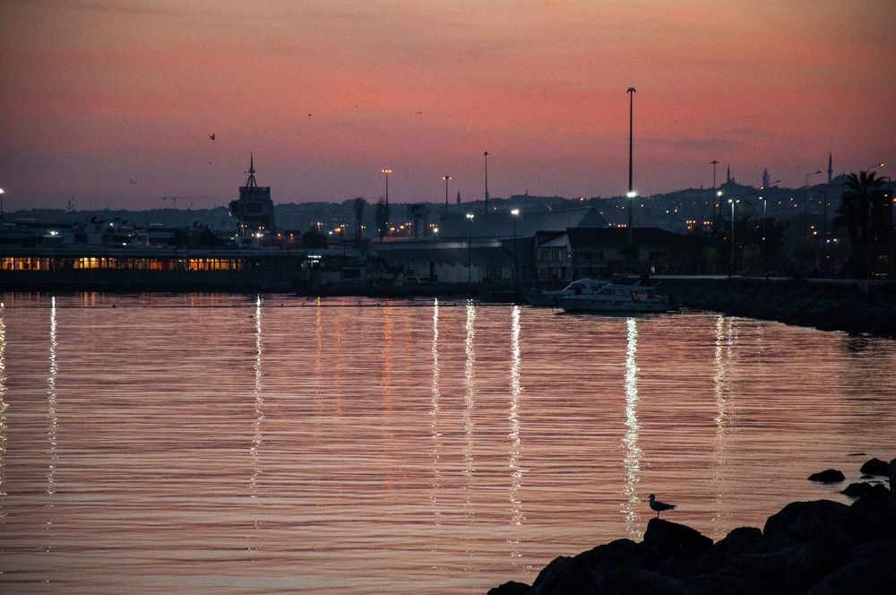 Photograph by Ольга Кудина