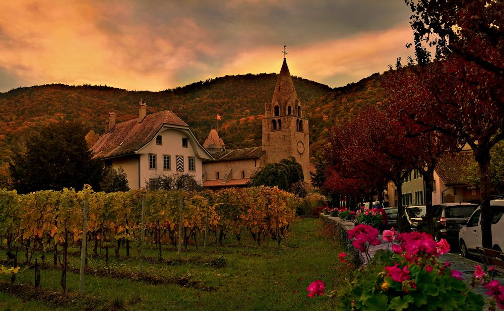 Photograph by Elena Wymann