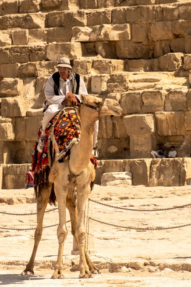 Photograph by Дмитрий Гривцов