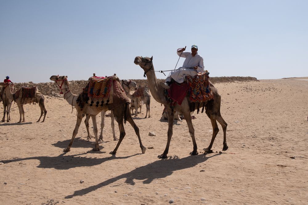 Photograph by Дмитрий Гривцов