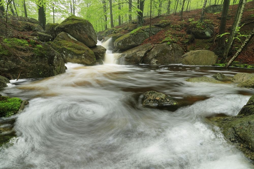 Фотография автора Michaela Vinterova