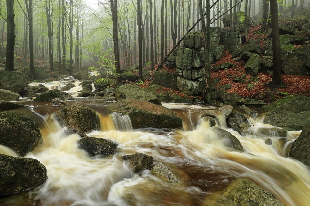 Фотография автора Michaela Vinterova