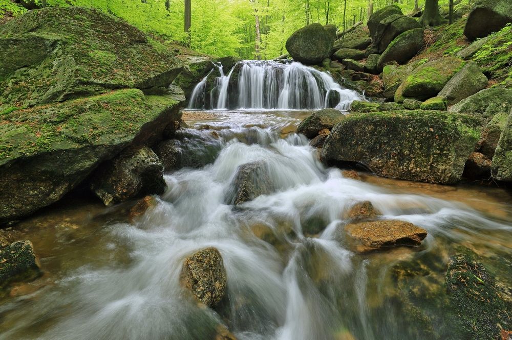 Фотография автора Michaela Vinterova