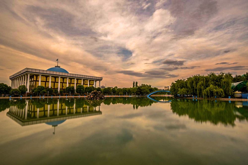 Photograph by Abdulrahman Sawalha