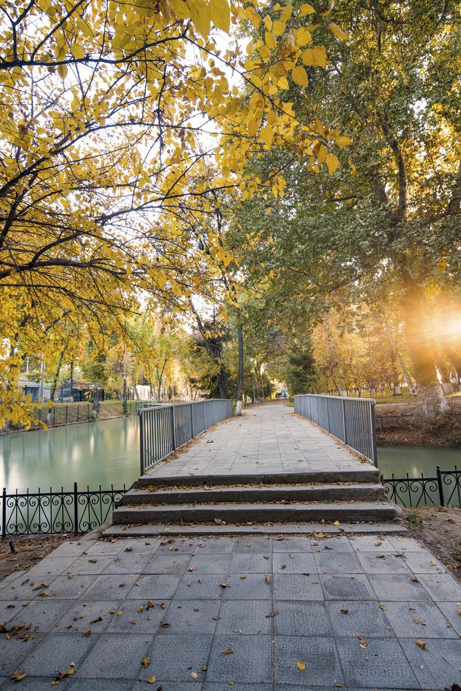 Photograph by Abdulrahman Sawalha