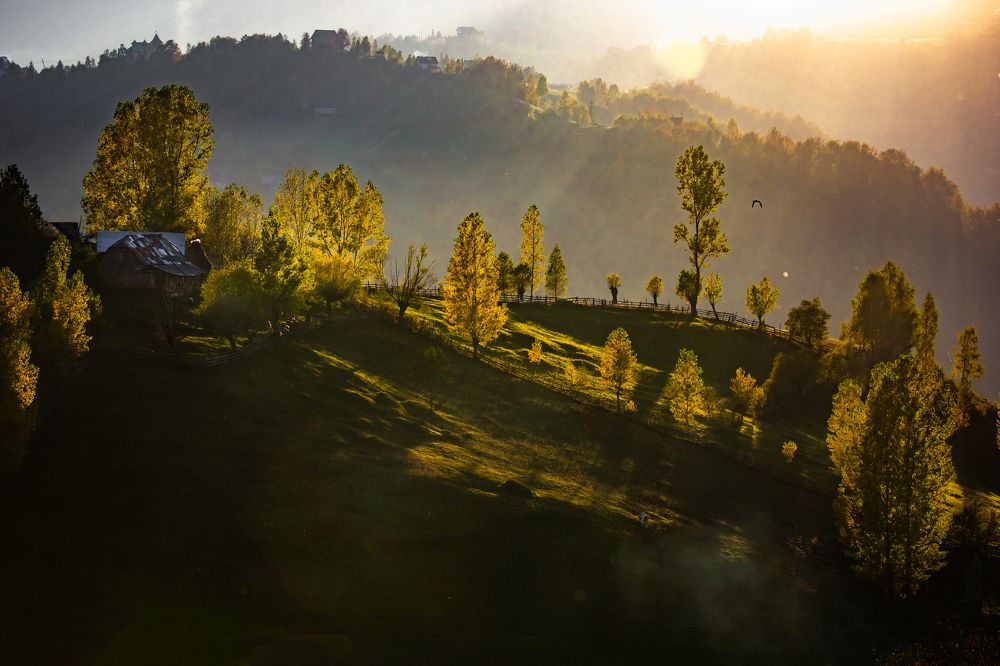 Photograph by Adrian Grigore