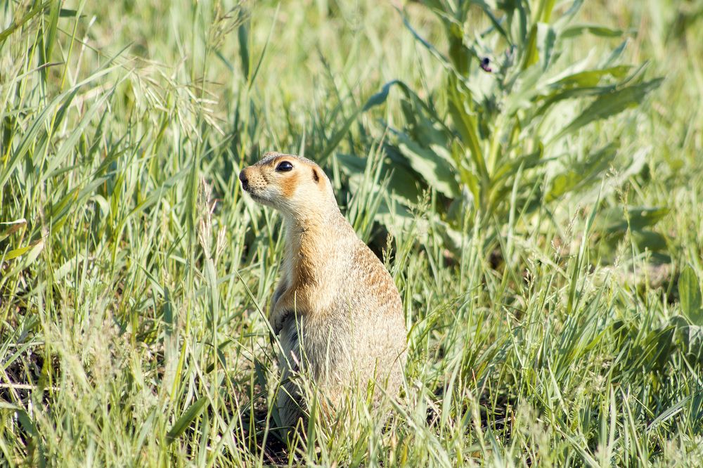 Photograph by Елена Рослякова