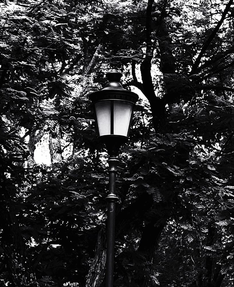Photograph by Michele Ceragioli