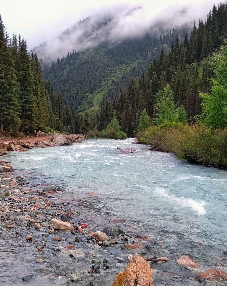 Photograph by Орынбек Асилбаев