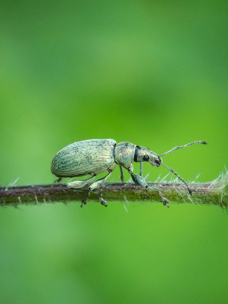 Photograph by Sergey