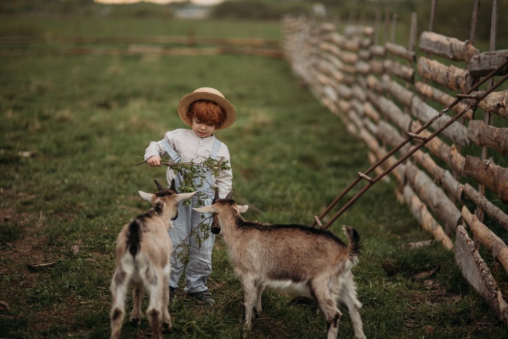 Photograph by Ольга Филатова