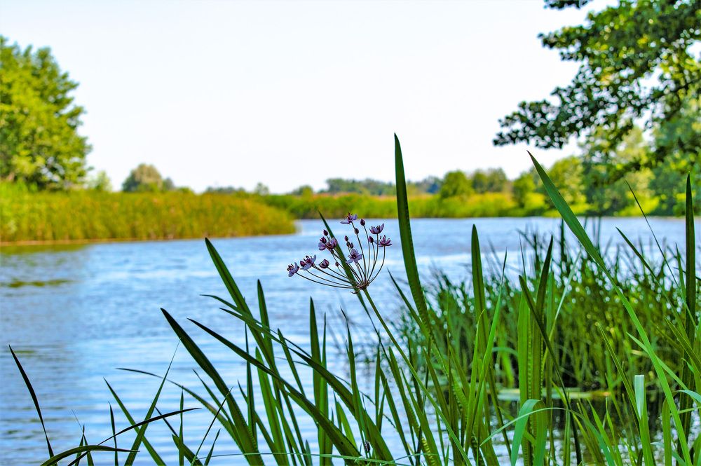 Photograph by Алексей Сиваков