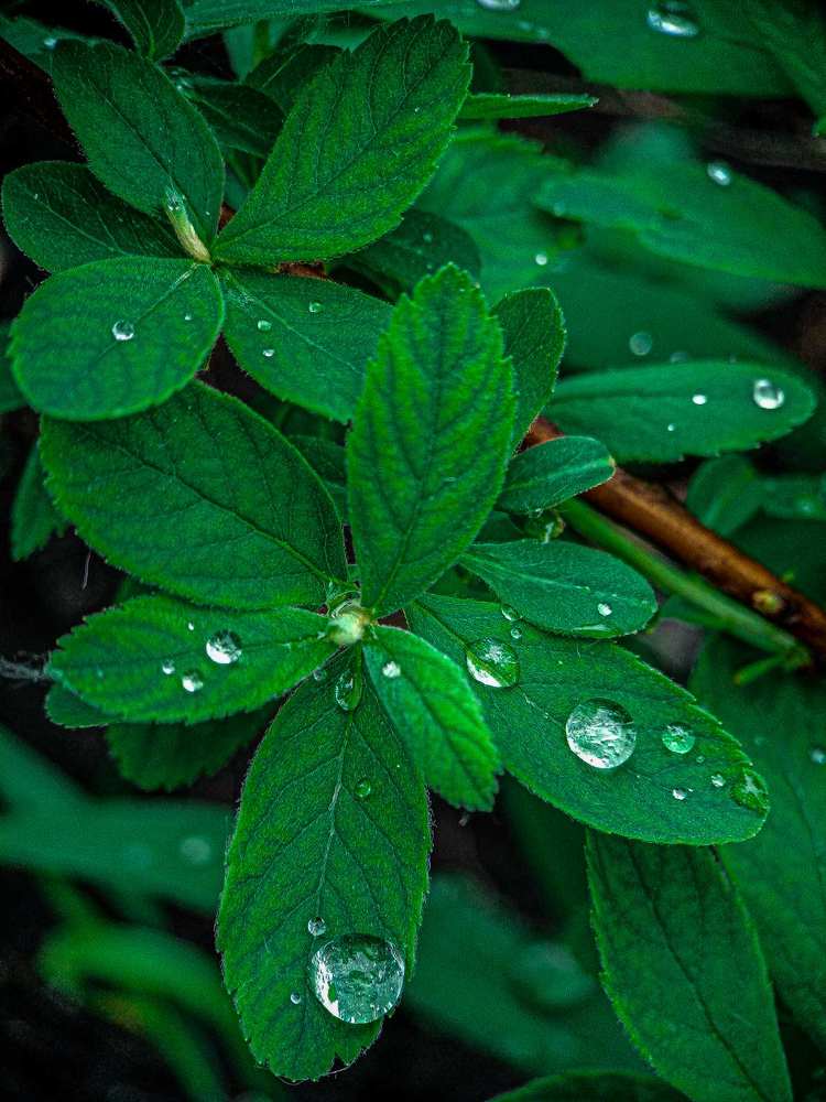 Photograph by Светлана Хамитова