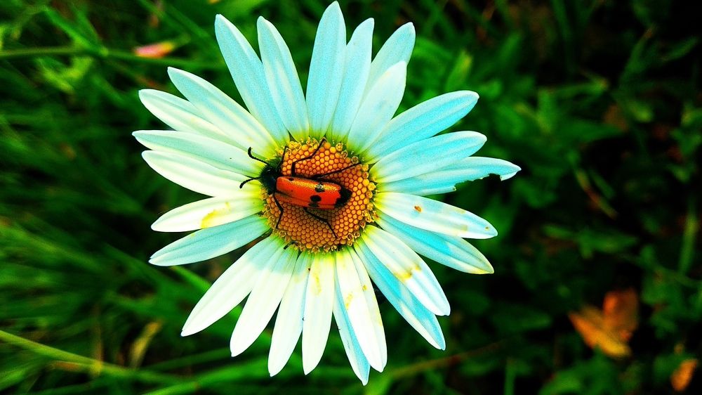 Photograph by Виталий Фролов