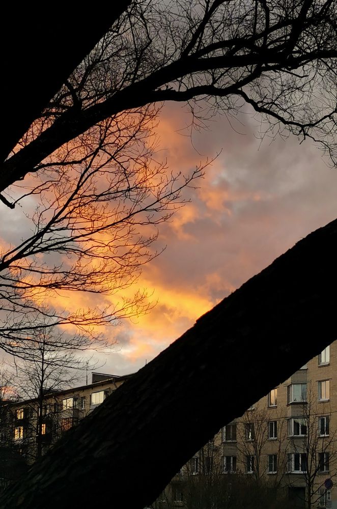 Photograph by Светлана Морева