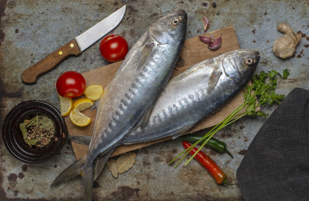 Photograph by Youssef Rahmaoui