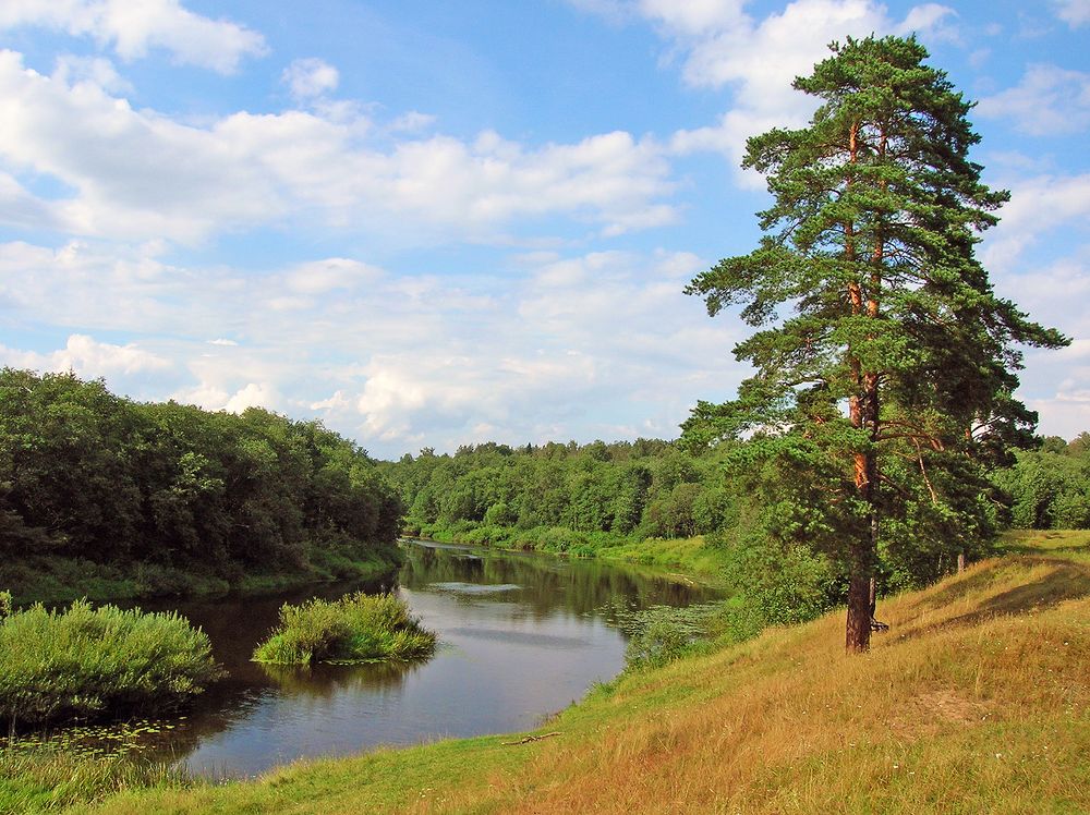 Photograph by Алексей