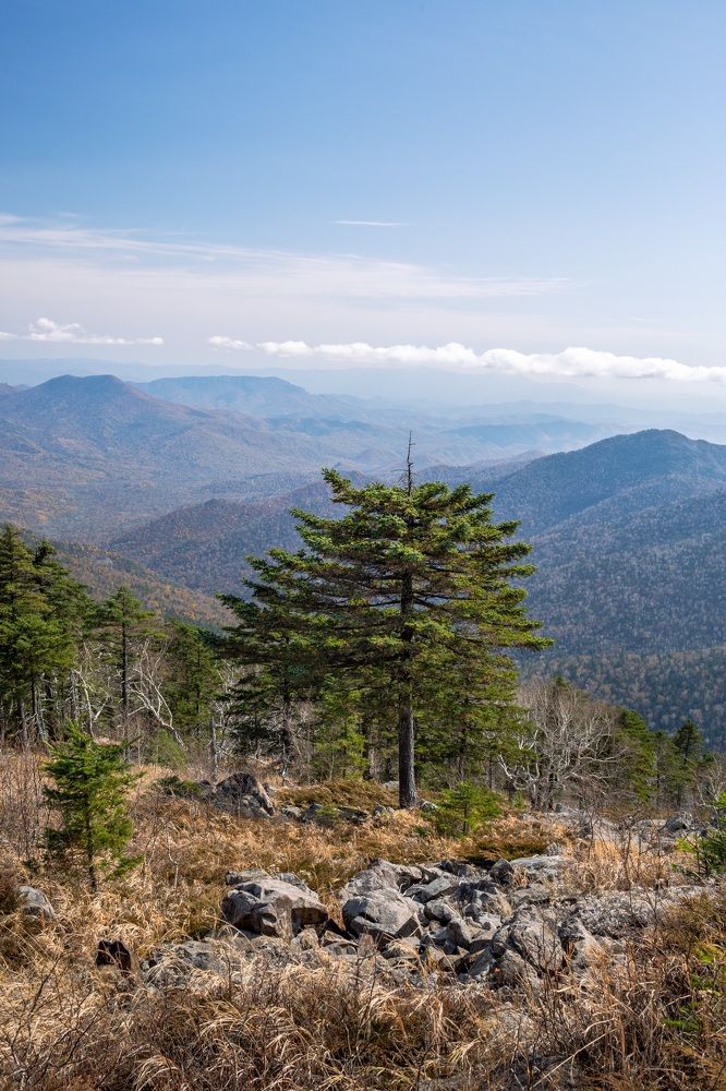 Photograph by Юрий Якименко