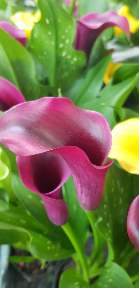 Фотография автора Ольга Мусина