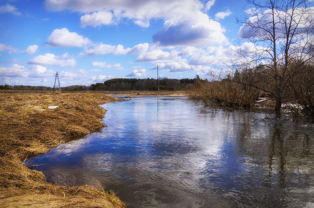 Photograph by Мария Блинова