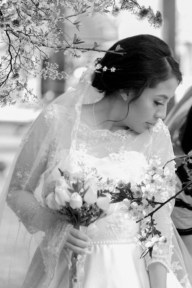 Photograph by Luis Par