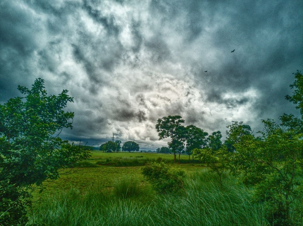 Cloudygrass