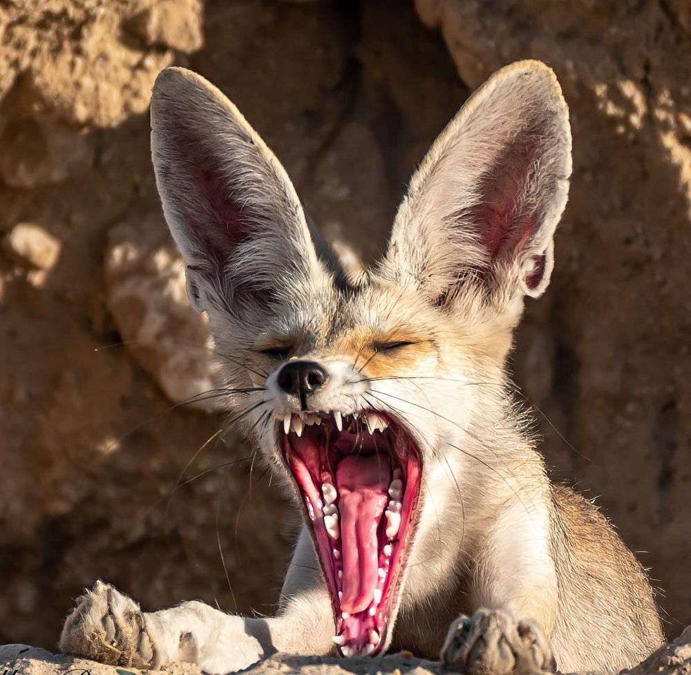 Photograph by Sudhir Raj