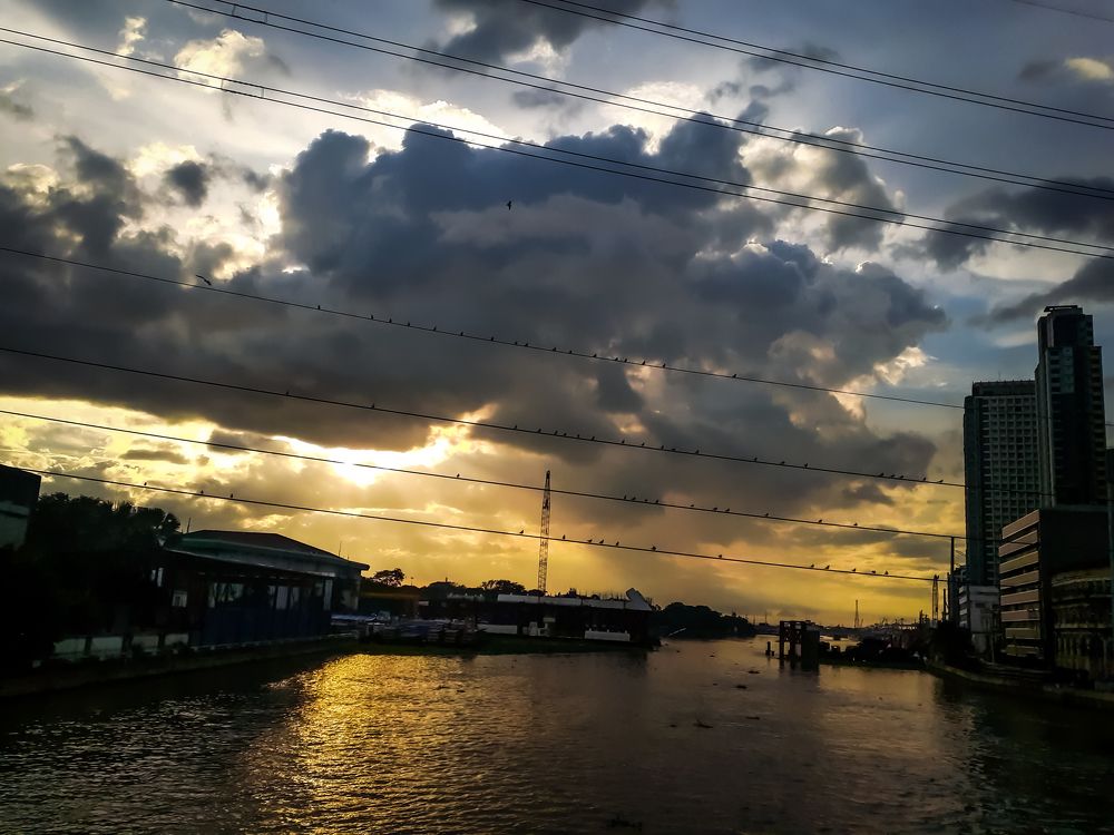 Photo #6235336