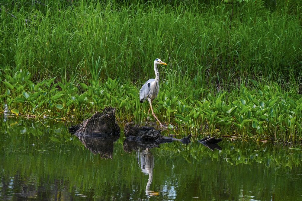 А я иду такая вся..