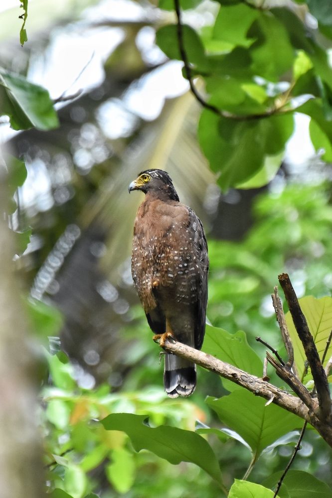 Photograph by Manoj Varun