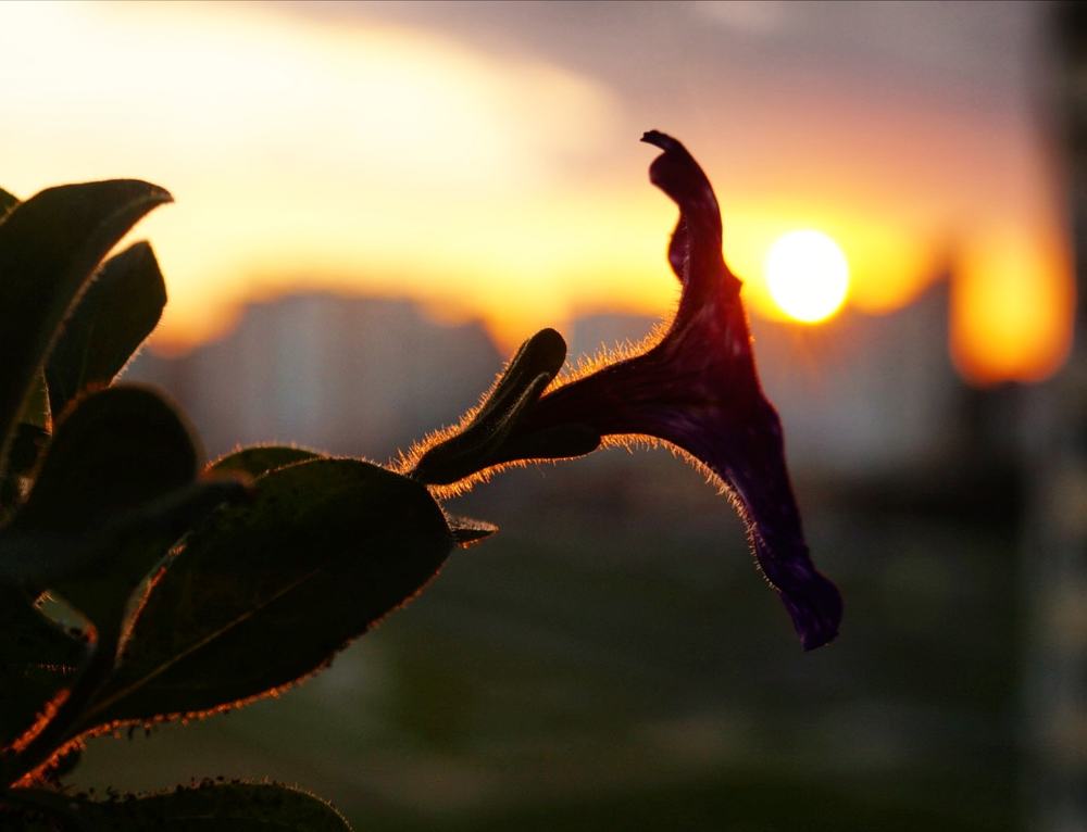 Закат в городе