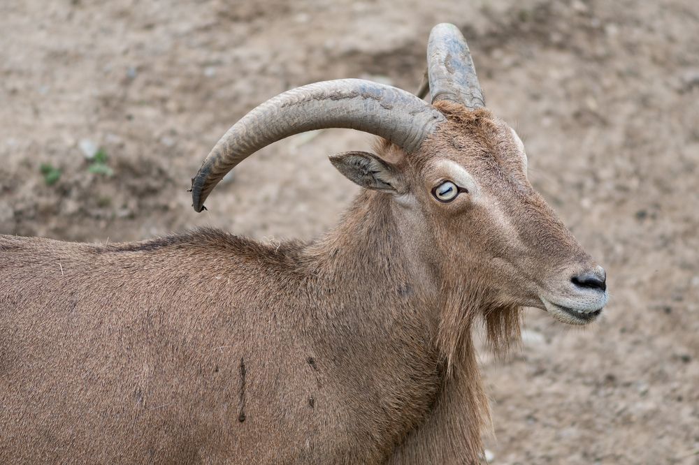 Photograph by Cristian Brancu