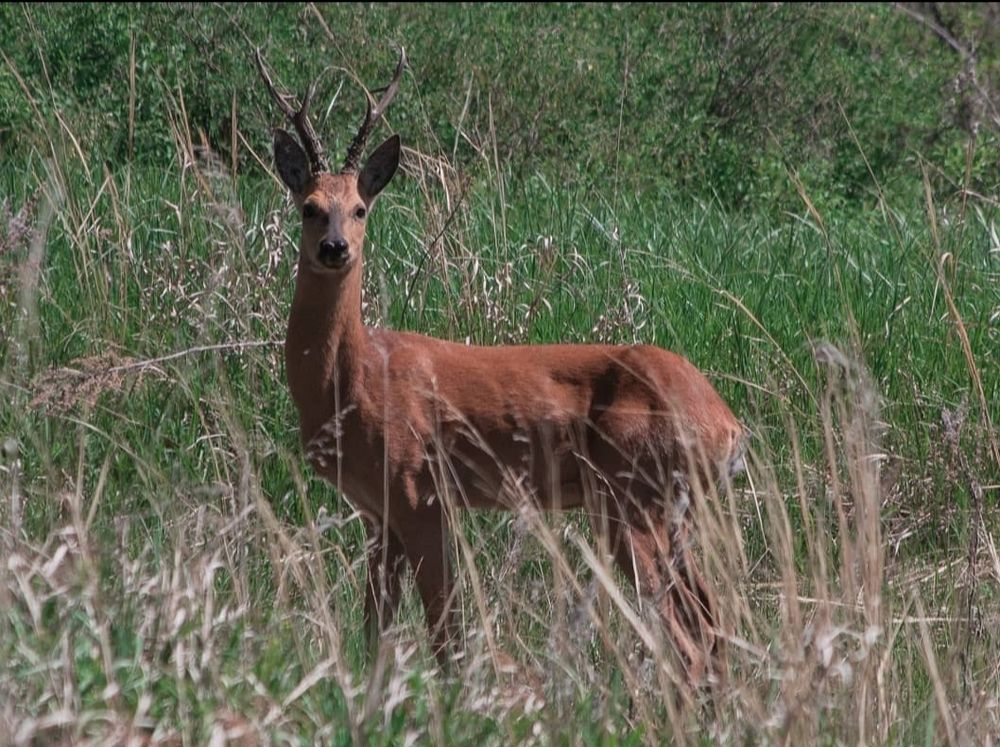 Photograph by Светлана Гринцова