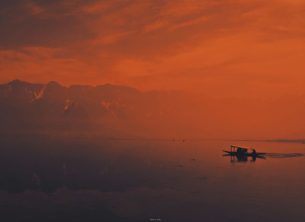 Photo #6235551