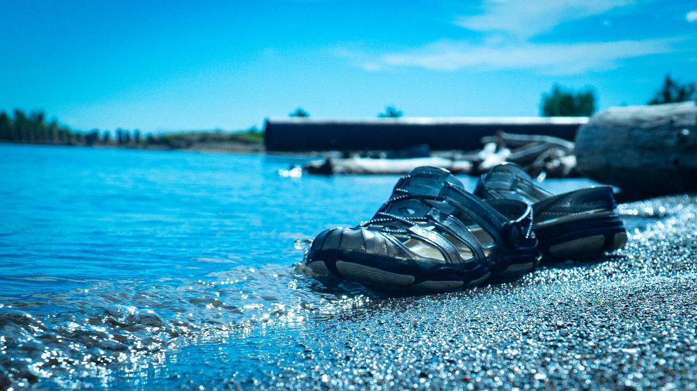 Фотография автора Алексей Новиков