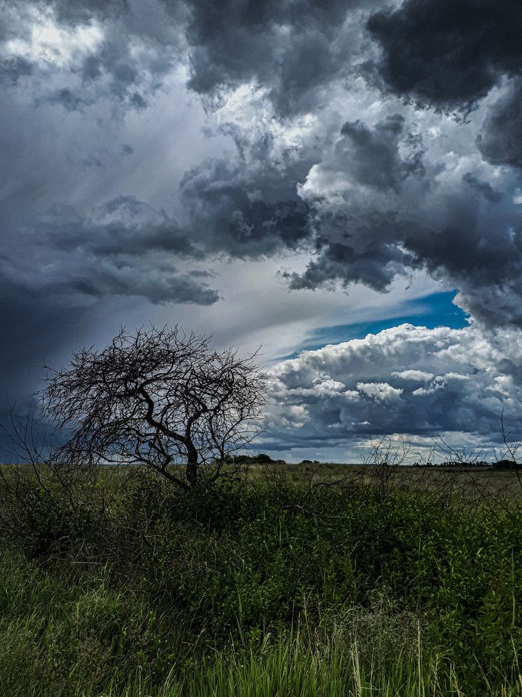 Photograph by Анна Кабиева